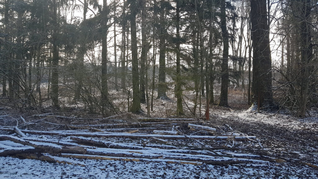 Vršovka