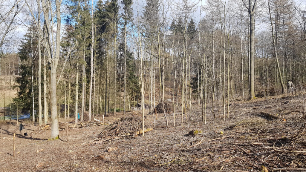 Vršovka