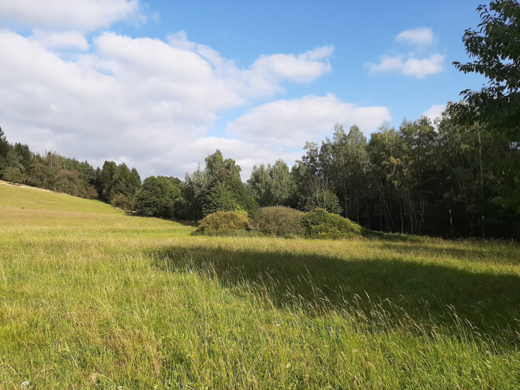 Dobřany