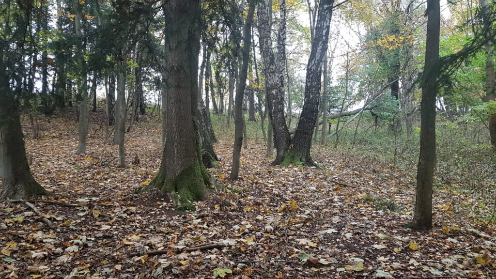 Skanzen Uhřínov
