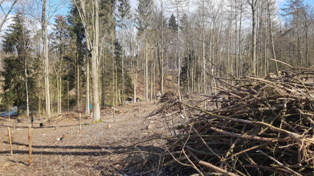 Vršovka